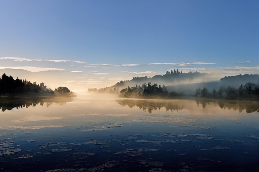 Morning Mist on a Lake - Serene Landscape Art