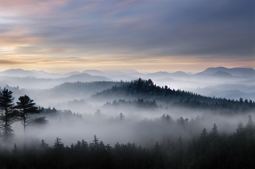 Misty Forest Sunrise: Layered and Atmospheric Landscape